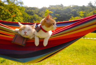 Illustration for article titled Cats Are the Cutest Guides to Japan